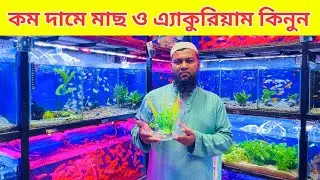Aquarium Fish Price in Bangladesh Aquarium Price In Bangladesh 2025 Aquarium Fish Price in katabon