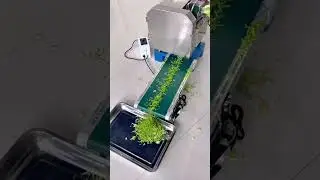 high speed industrial vegetable shredder for fast and uniform slicing