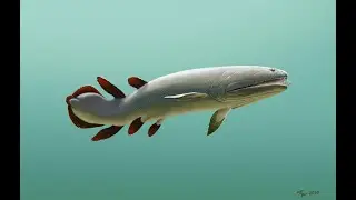 Tribute to Onychodus
