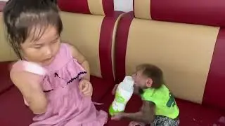 Monkey Baby Tom - Baby Taste Milk