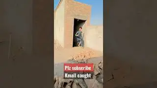 kaml ka caught of the bol #viralshorts #malikamir #100k #viralvideo #1Mviwes