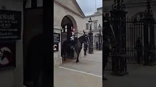What SUPER STRENGTH do ROYAL HORSES have?#King #london #tourism #guards #traditional #history