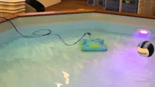 Dolphin Moby Pooltopper