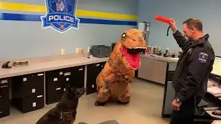 Truro Buzz T-Rex visits Truro Police & Truro Fire