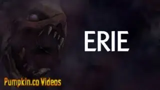 Cat monsters | Erie