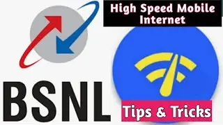 Rocket Internet speed