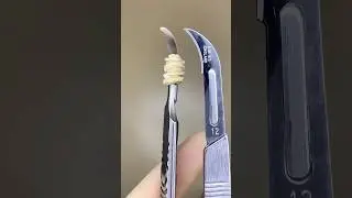 Sharpest Surgical Blade on Earth #obsidian #goodtoknow #vet #medicine #surgicalskills #scalpel #hack