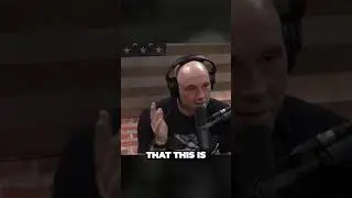 Elon Musk & Joe Rogan: The Startling Future of Human-AI Fusion