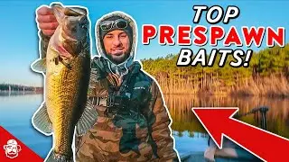 BEST Prespawn Bass Fishing Lures You NEED To Be Fishing This Spring!