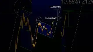 Tesla ROCKING & Bitcoin DIAMOND**** #NFA