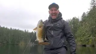 COVID isolation - Lake Monster living in Thetis Lake?