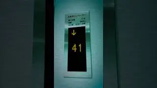 【holo Indie】holo8 Teaser?? #holoindie