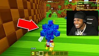 I PLAYED AS SONIC IN MINECRAFT!