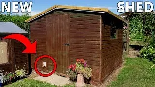 New Shed Build / Restoring some Parts (WITH AN INTRUDER!)