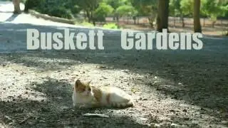 THE MALTA DIARIES  - Gardens