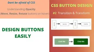 CSS Button Design | #2 | Transition & Transform