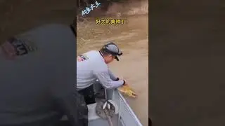 What a big yellow spice fishingfishing personwild fishingoutdoor fishingfishing funnyfunny fishinglu