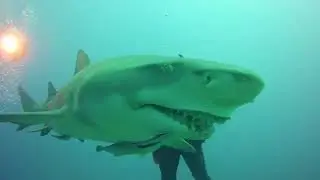 Jupiter FL diving with ScubaBros