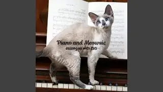 Cool Cat Vibes