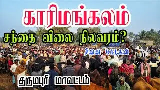 காரிமங்கலம் மாட்டு சந்தை விலை நிலவரம் தருமபுரி மாவட்டம் 🥰 