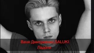 Ваня Дмитриенко & SALUKI &mdash; Ладони (Караоке &bull; Официальный минус &bull; Текст на экране &bull; 2025)