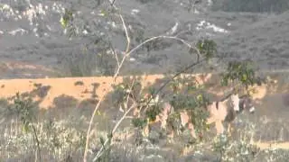 DSCN3572.AVI