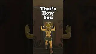 In Case You Didn't Know... In Zelda Breath of The Wild | BotW