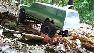 mean green and the Walmart rock buggy. 🤔🤨🙄🧐