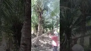 Naghawan ko kalobenhan sa akung agalon 