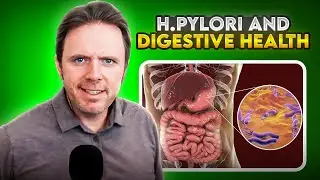 Decoding H. Pylori: Impact on Digestion and the Path to Optimal Health