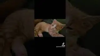 Going back to sleep