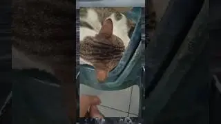 Pov : ketika habis makan wiwkas