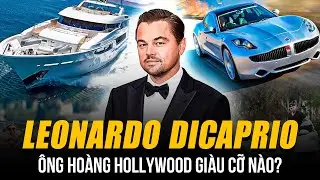 ÔNG HOÀNG HOLLYWOOD LEONARDO DICAPRIO GIÀU CỠ NÀO? VUNG TIỀN KHÔNG NGỚT VỚI BẤT ĐỘNG SẢN VÀ SIÊU XE