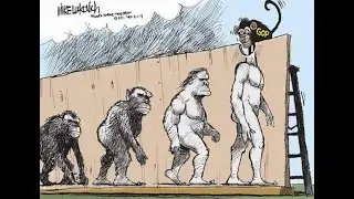 Viemos dos Macacos?