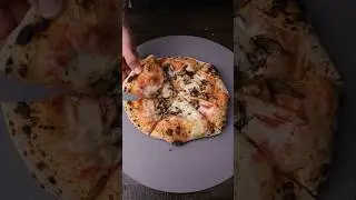 Extra EXTRA Mushroom Pizza