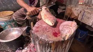 Masterful Koral Fish Cutting | Traditional Fish Cleaning Techniques