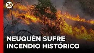 ARGENTINA | NEUQUÉN registra el INCENDIO FORESTAL más grande de su historia