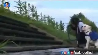 CHAL👬 BABU BAJAR ME GULABJAMUN KHILABAUU (sab lOol hai) COMEDY VIDEO 😆