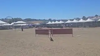 Steve Moody&rsquo;s beautiful run at Marin County Fair with his red dog Cady Beth