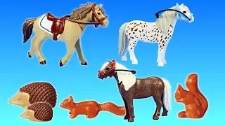 PLAYMOBIL Country Horse Pony Farm Animals Building Set Build Review
