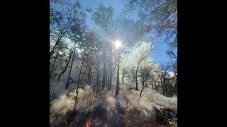 Controlled Burn at Flagg Mountain