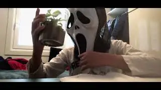 Tatu bolinha comendo batata 🥔 