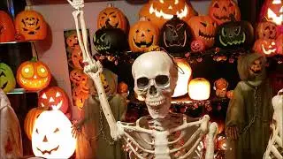 Haunted Book Shelf 2019