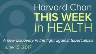 A new discovery in the fight against tuberculosis