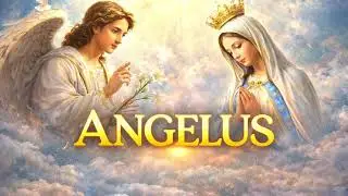 ANGELUS  - Ter&ccedil;a-feira 27/01/2026