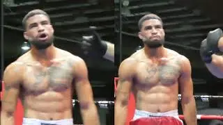 Model Professional Boxing - WV