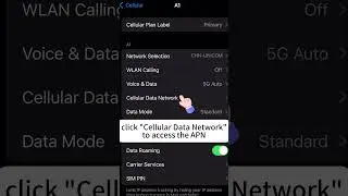 IPhone KiwiSIM APN setting #smartphone #4gwifi #simcard #4g