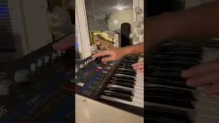 Solton Programmer 24  is the Kraftwerk/Italo Disco ultimate synth😺