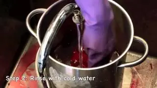Low Immersion Dye: Basic Tutorial