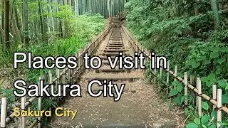 Sakura(佐倉): Places to visit in Sakura City